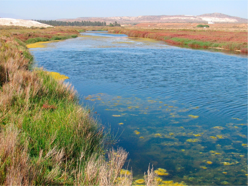 Dashboard 'Patrimonio Ambiental'